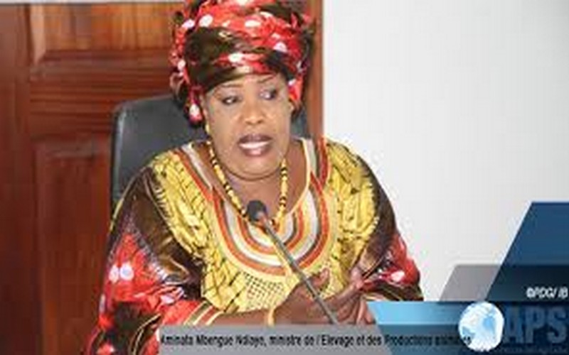 Le gouvernement vole au secours du PRONAM