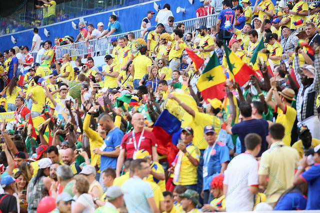 1W9A8958-BorderMaker