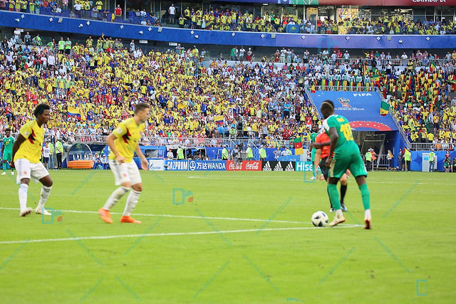 1W9A9001-BorderMaker