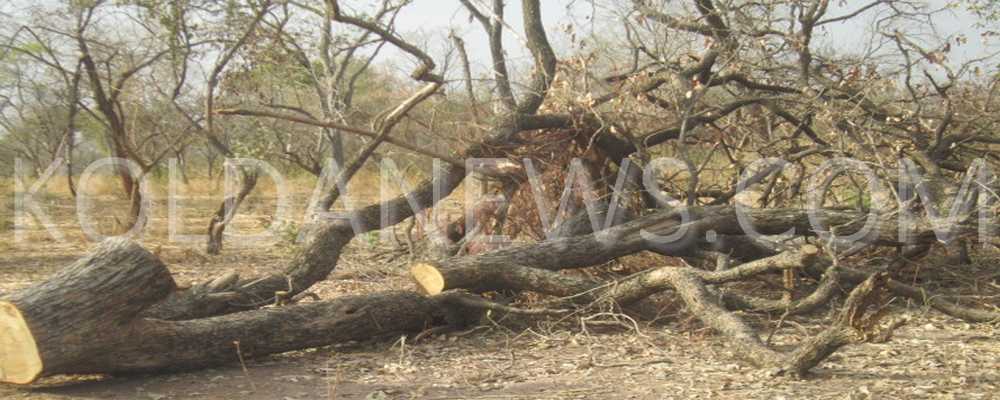 Pakour Affaire des 1000 ha: Les Ex détenus ont eu droit à un accueil populaire