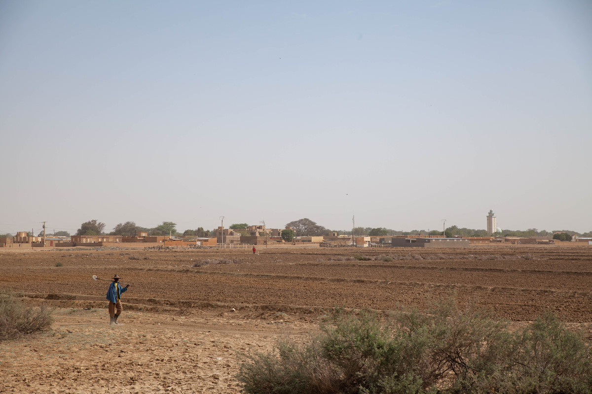 Litige foncier : Dodel et Démette ne démordent pas contre projet marocain Afripartners