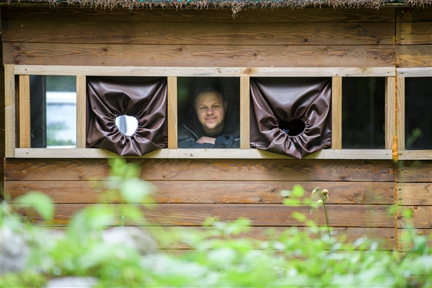 L’ours renaît en Slovénie : Miha Mlakar les observe