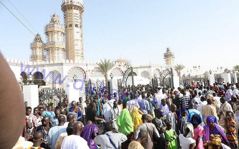 Magal : l’équation de la Dengue à Touba?