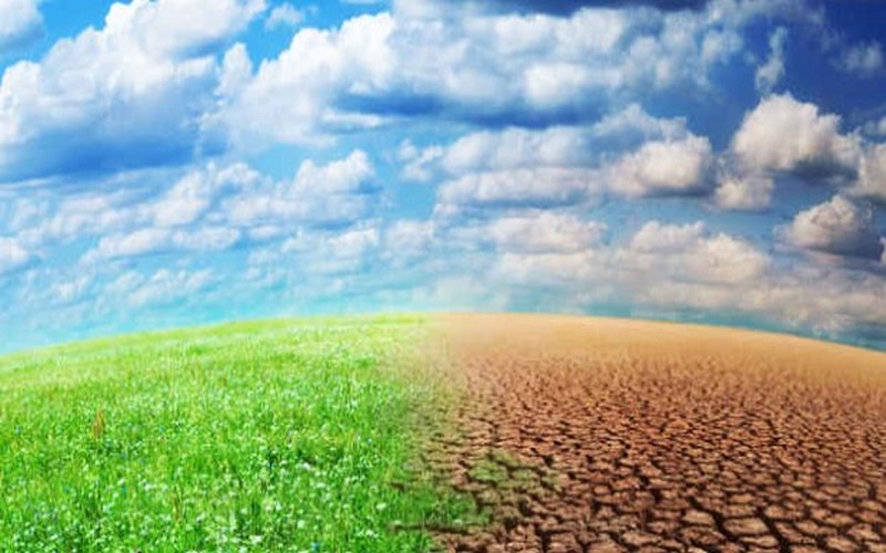 Un club dédié aux changements climatiques officiellement lancé à Linguère