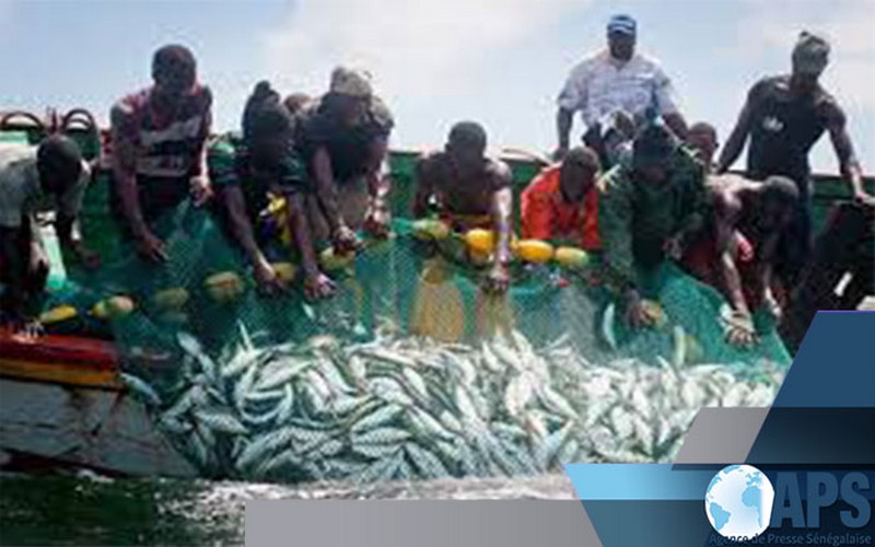 Banjul va accueillir la cérémonie célébrant la Journée mondiale de la pêche