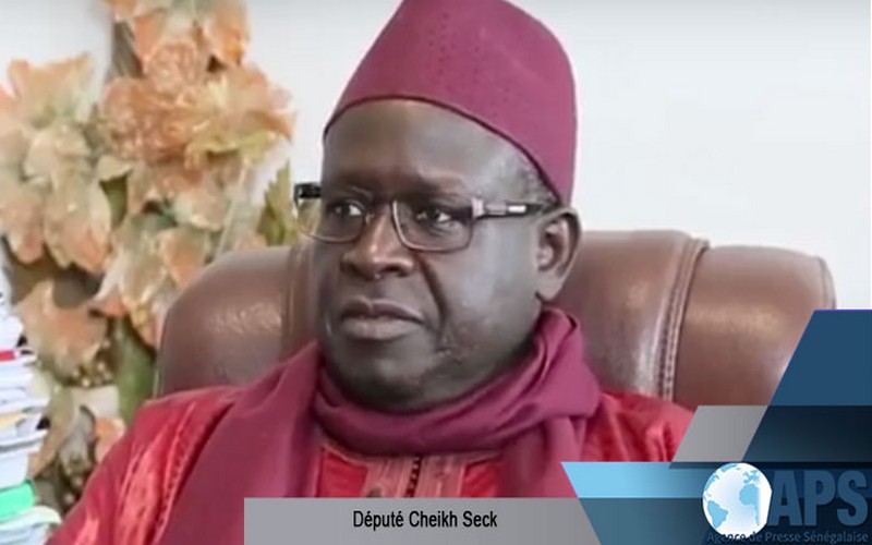 Selon Cheikh Seck, le gouvernement du Sénégal connait « d’énorme succès »