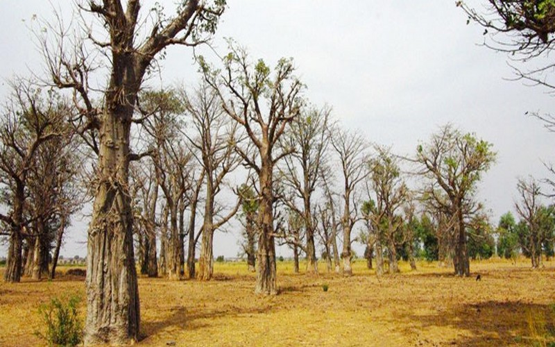 Souleymane Ciss annonce une évaluation du plan d’aménagement touristique du village de Simal