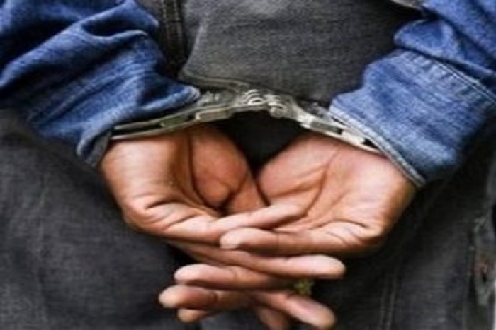 Médina Yoro Foula : 24coupeurs de bois arrêtés par le service des eaux et forêts