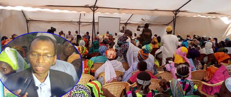 Riziculture à Kolda : la SODAGRI prévoit d’aménager 1000 ha en 2019