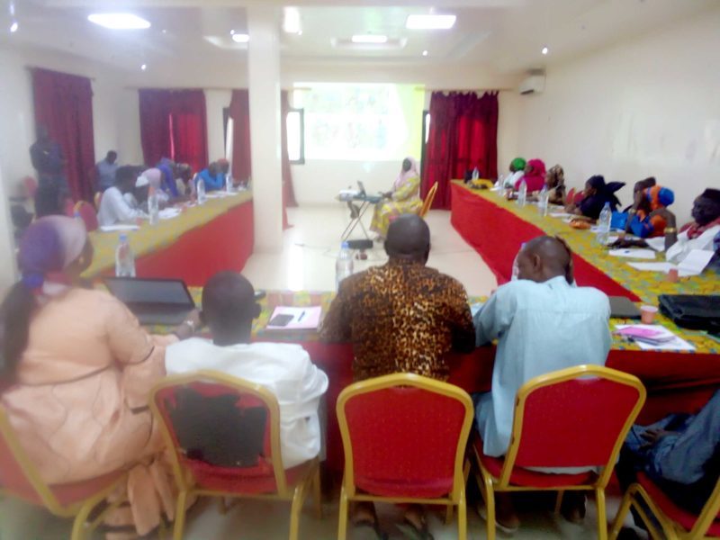 KOLDA : le RADI œuvre pour l’effectivité du droit à l’alimentation à travers le projet AMSAN.