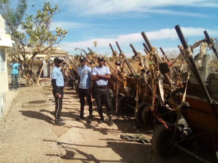 Vélingara : un gambien arrêté, 45 billons, et 45 ânes , 1 tracteur et deux motos saisis