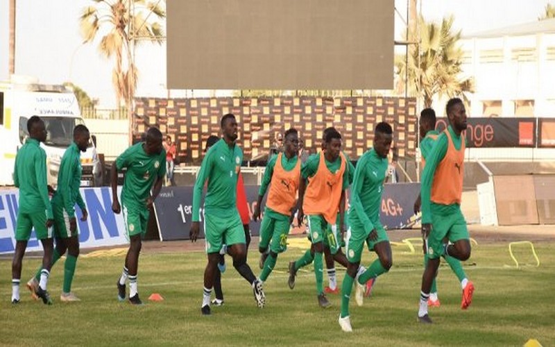 CAN-2019 : 131 millions FCFA promis pour chaque « Lion » en cas de victoire finale