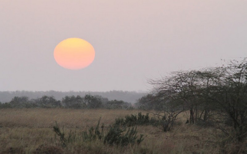 Le Fouta sous le diktat d’une forte canicule