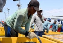 L’enfer sur mer des esclaves indonésiens de la pêche