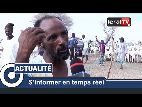 Cherté des moutons au foirail de Kahone: Les Maures indexent les « coxeurs » Sénégalais