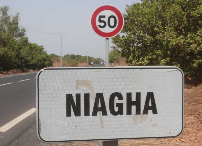 Vol de bétail : Niagha perd 44 vaches le weekend dernier.