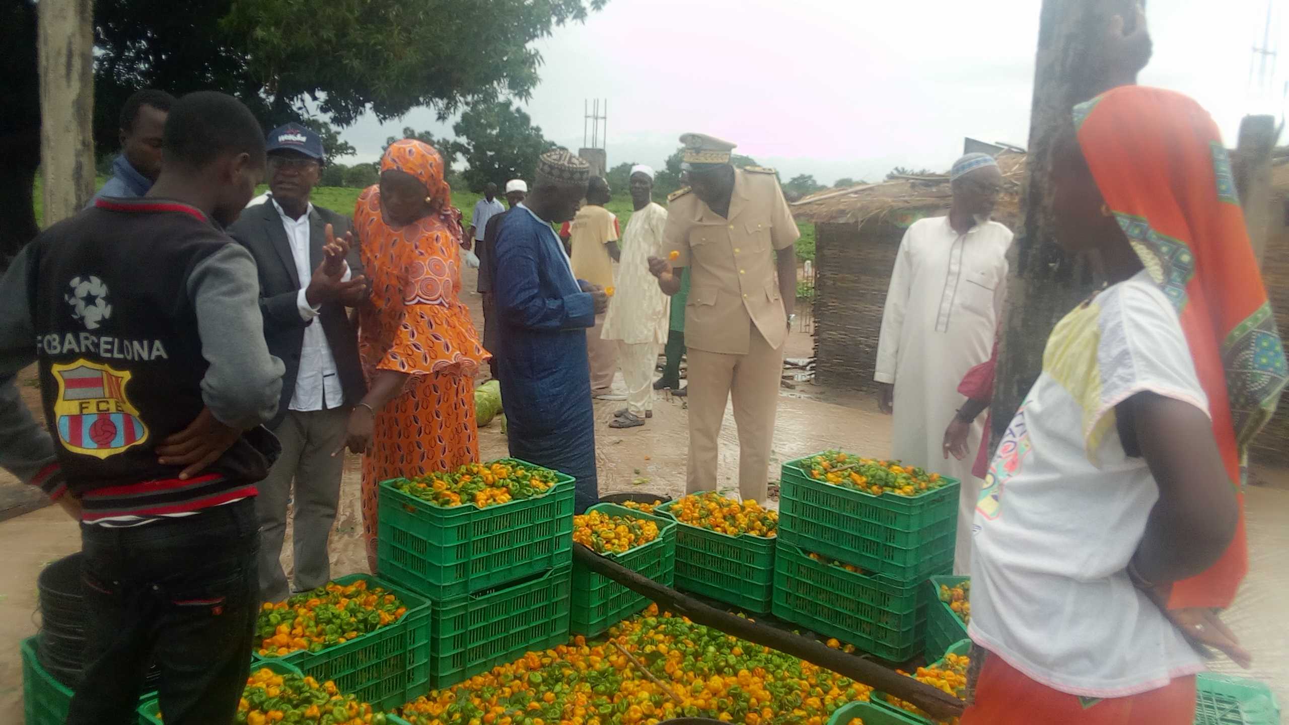 DIALAMBERE : la ferme ANIDA change la vie des populations.