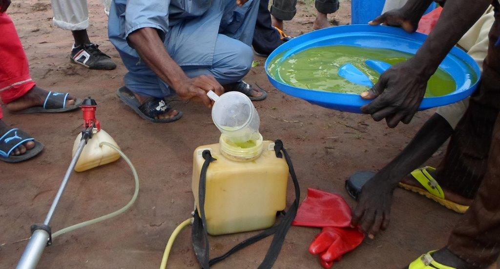 Kolda : L’usage des pesticides sans précaution expose les agriculteurs du Fouladou