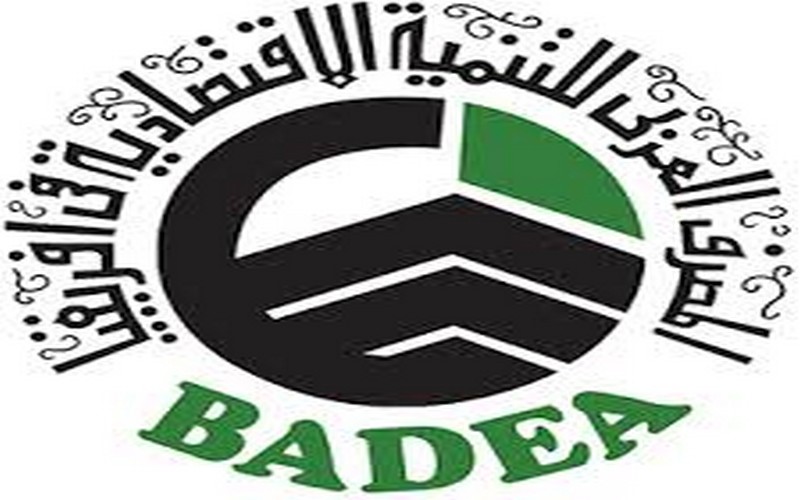 La BADEA est engagée dans le financement de l’agropole du sud, selon son DG
