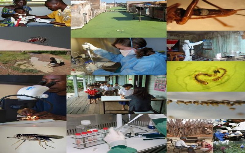 Lutte anti-vectorielle service d’hygiène ne chôme pas à Tivaouane