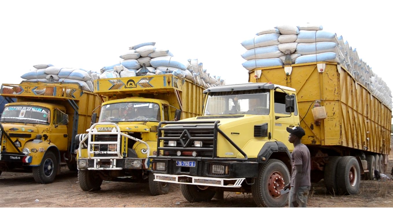 Campagne de commercialisation de l’arachide : les producteurs remercient le président de la république