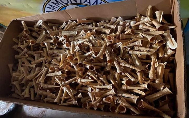 Covid-19 – hygiène publique : la brigade de l’environnement démantèle une usine de fabrique de glaces à la Patte d’Oie