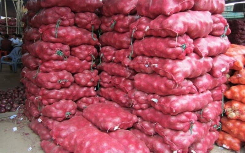 Oignon : les producteurs d’oignons de Potou sollicitent l’aide du gouvernement