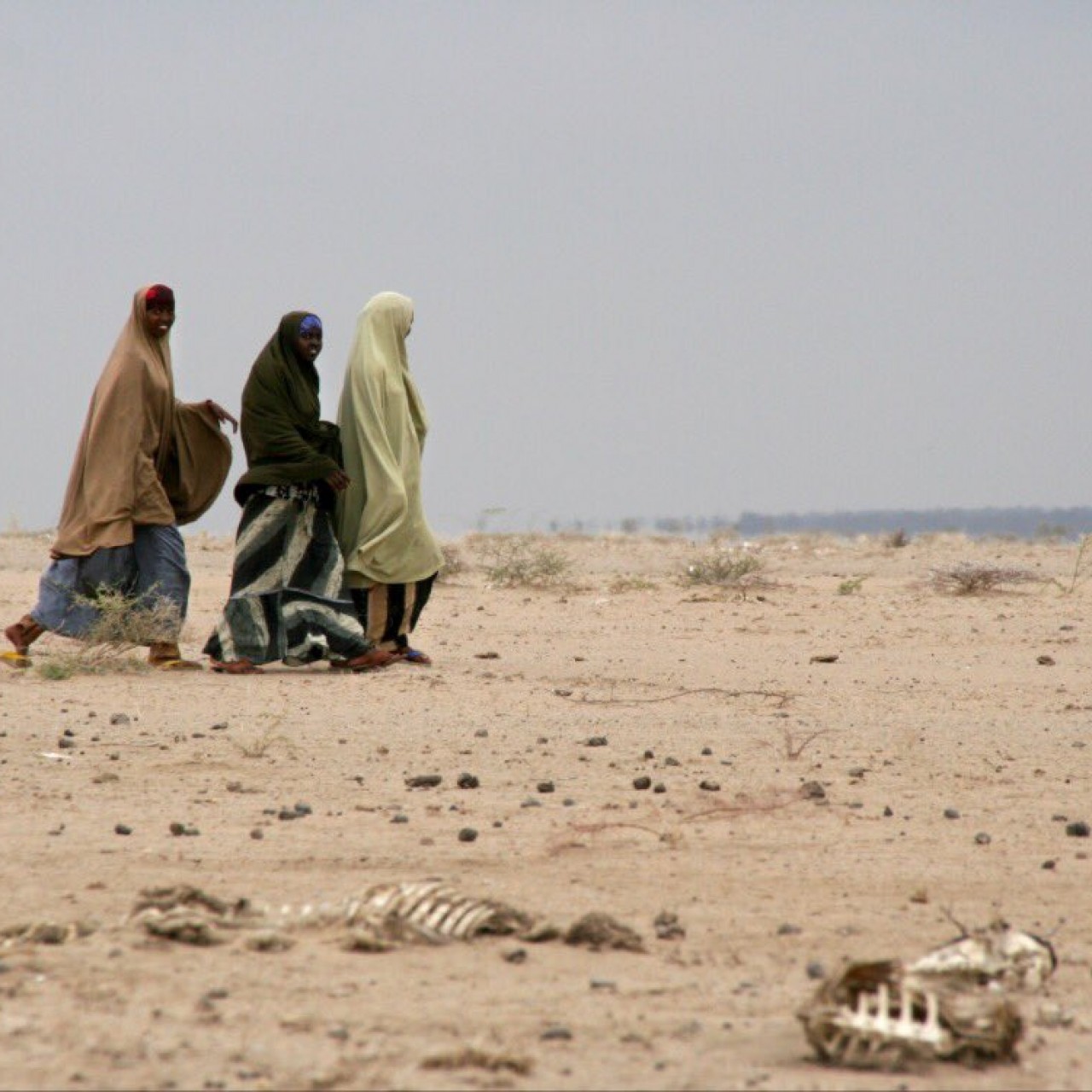 Un séminaire sur la sécurité et l’‘’extrémisme violent » au Sahel », à Dakar