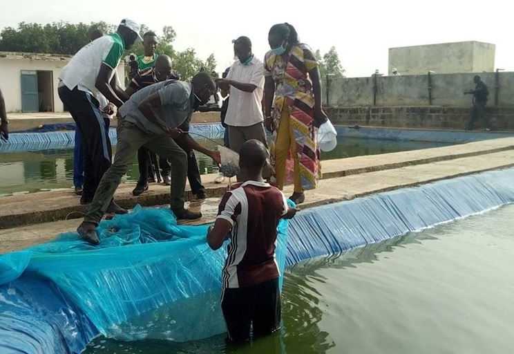 Médina Yoro Foula : la DG de l’ANA en mission d’empoissonnement à la ferme aquacole de Saré Diatta.