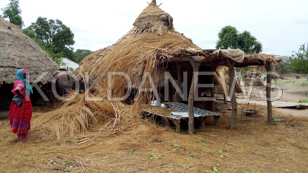 Orage à Kolda : des dégâts importants dans le monde rural - KoldaNews