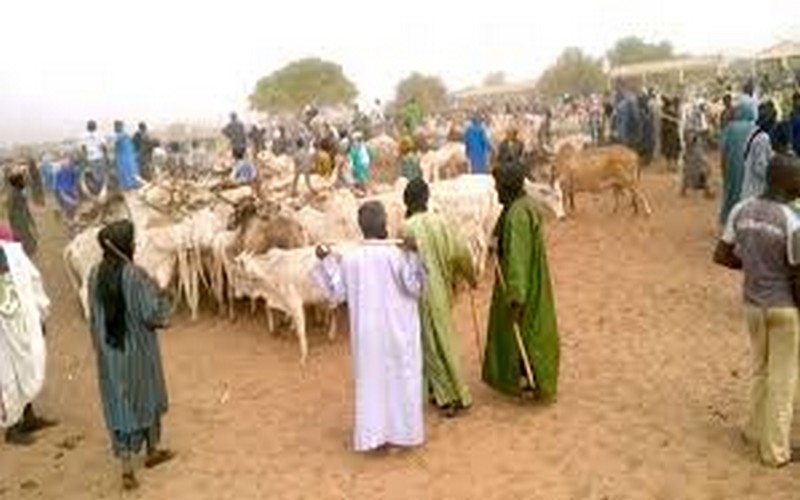 Le déroulement rassurant de la distribution de l’aliment de bétail à Ranérou-Ferlo