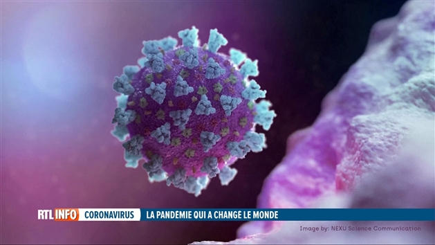 Février 2020: les premiers Belges contaminés rapatriés, le monde découvre le visage du virus meurtrier