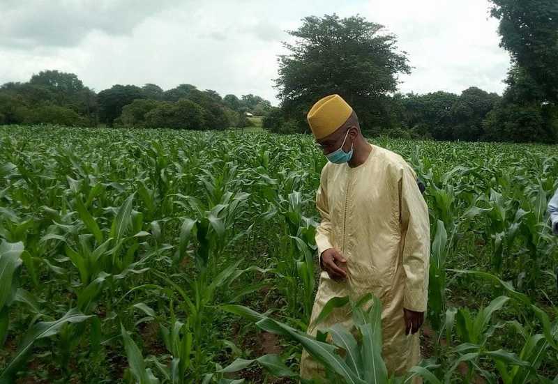 Arrêt sur image : le MAER dans un champ de maïs à Médina El Hadji