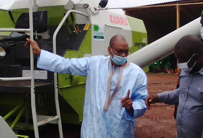 Le « come-back »de l’agriculture (Par Issa Barro)