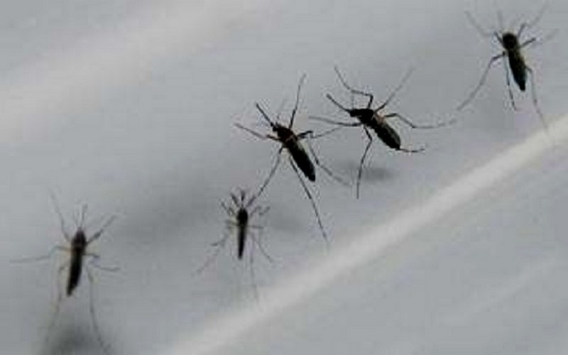 Une campagne d’aspersion intra domiciliaire contre le paludisme lancée à Ndindory