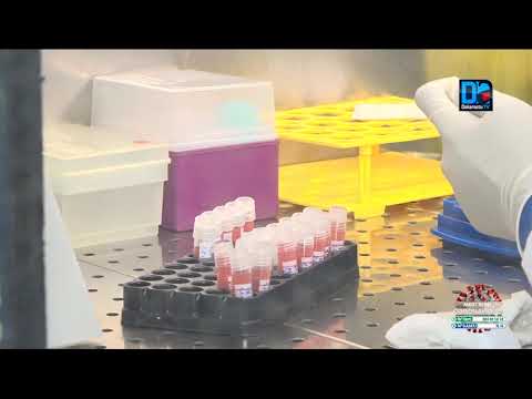 Le Force Covid à l’Iressef : Le Professeur MBOUP prédit le pic vers Octobre et bénit le test massif