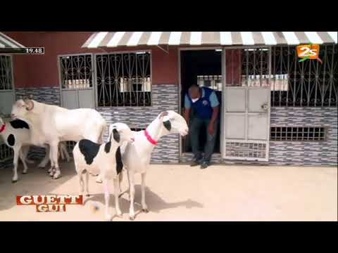 #2stvLive GUET GUI DU DIMANCHE 19 JUILLET 2020