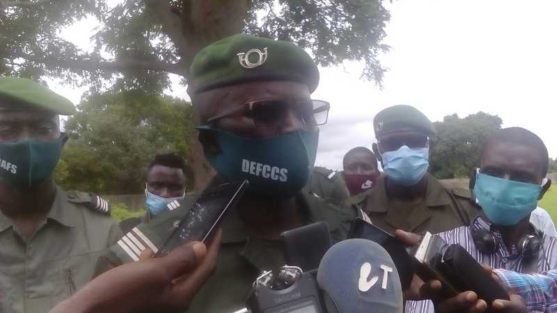 Journée de l’Arbre : l’IREF de Kolda invite les populations à reboiser, à planter…