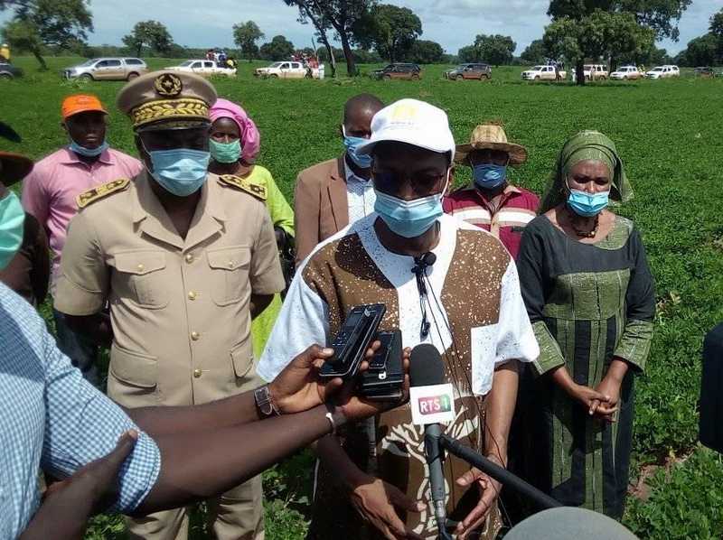 Bilan Campagne arachidière : 721 386 tonnes collectées pour 216 milliards injectés dans le monde rural (MAER)