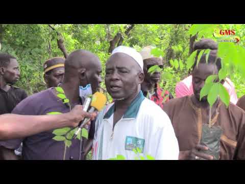 BIGNONA: ASIOBA DE IMAM BADJI OUVRE LA CAMPAGNE DE REBOISEMENT 2020