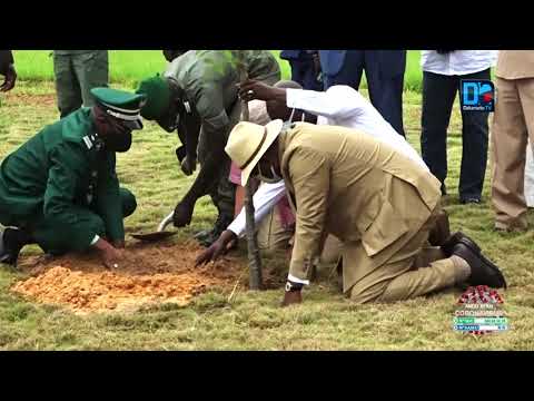 Journée Nationale de l’Arbre : « Le Baobab, est un arbre fort, majestueux, presque millénaire…… »