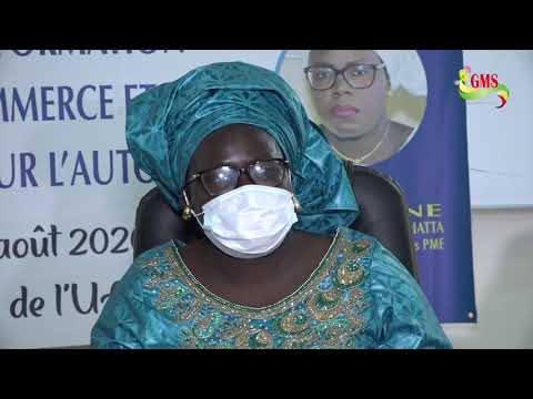 WOLOF AUTO EMPLOI DES JEUNES : LE E- COMMERCE ET LE E-LOGISTIQUE PRÉSENTÉS