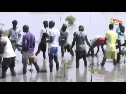 WOLOF- ETAFOUNE ABRITERA CETTE ANNÉE LES ACTIVITÉS  (ASGPI)