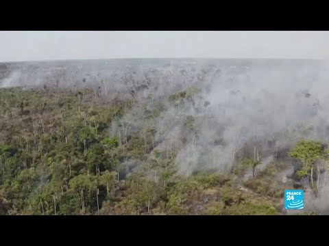 Incendies en Amazonie : plus de 1 600 km2 ravagés, un « mensonge » pour Bolsonaro