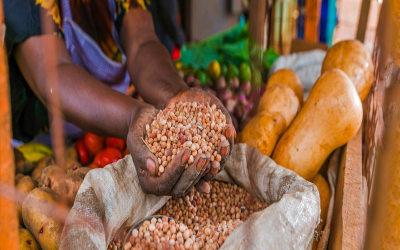 Un programme de renforcement de la sécurité alimentaire lancé à Kolda