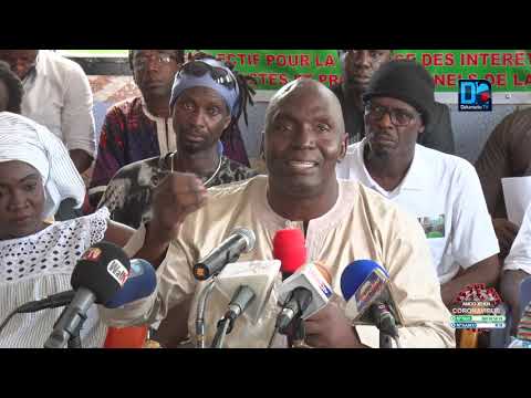 Dénonçant la gestion opaque et nébuleuse de la SODAV: Les acteurs culturels interpellent l&rsquo;Etat…