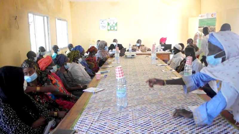 Sécurité Alimentaire : le RADI lance le projet BEYDARI-Kolda