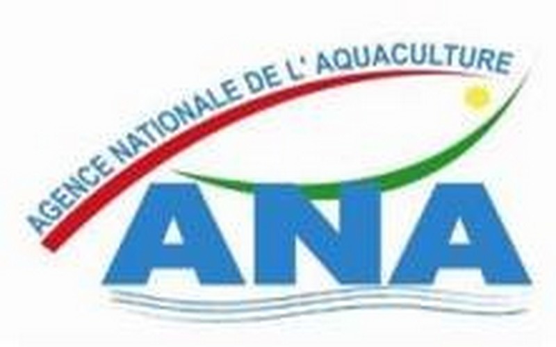 Toubacouta : empoissonnement de 10 cages flottantes de l’unité aquacole de Sinthiou Béra