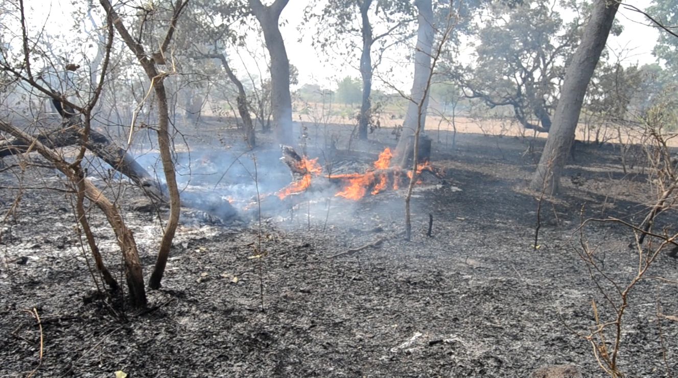 Lutte contre les feux de brousse : une réunion du CDD a été consacrée à ce combat