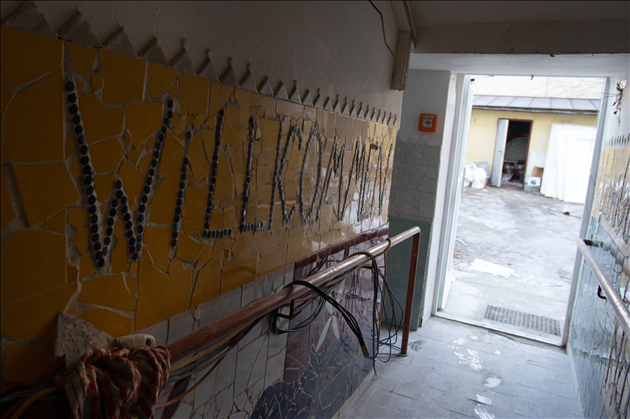 BELGAIMAGE-173342228